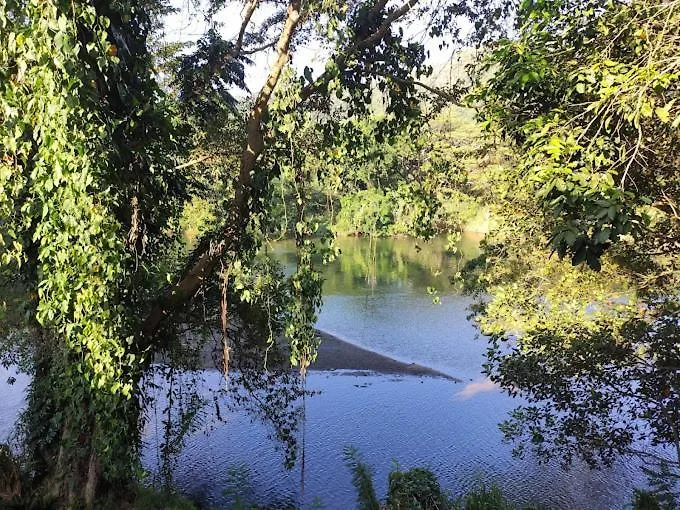 River Ivy'S Kandy