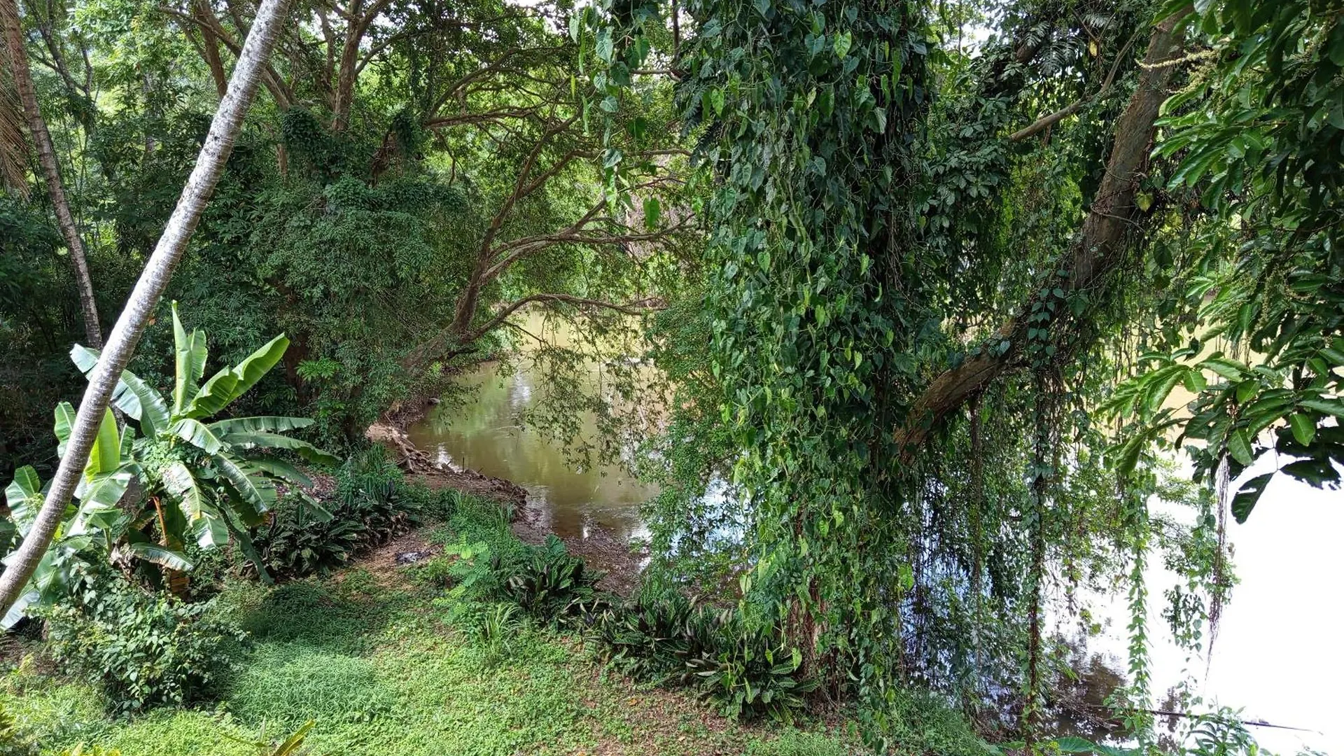Casa de hóspedes River Ivy'S Kandy