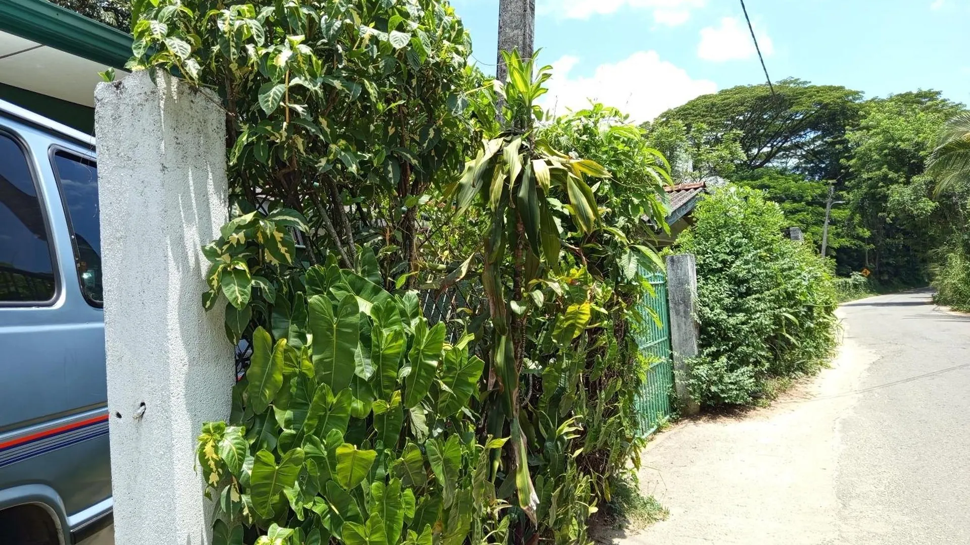 River Ivy'S Kandy Sri Lanca